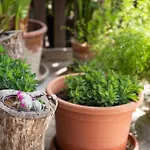 Apartman Timeless Barn *