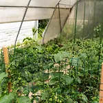 Timeless Barn Apartman *