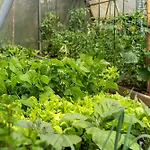 Apartman Timeless Barn *