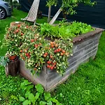 Apartman Timeless Barn *