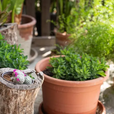 Lejlighed Timeless Barn *