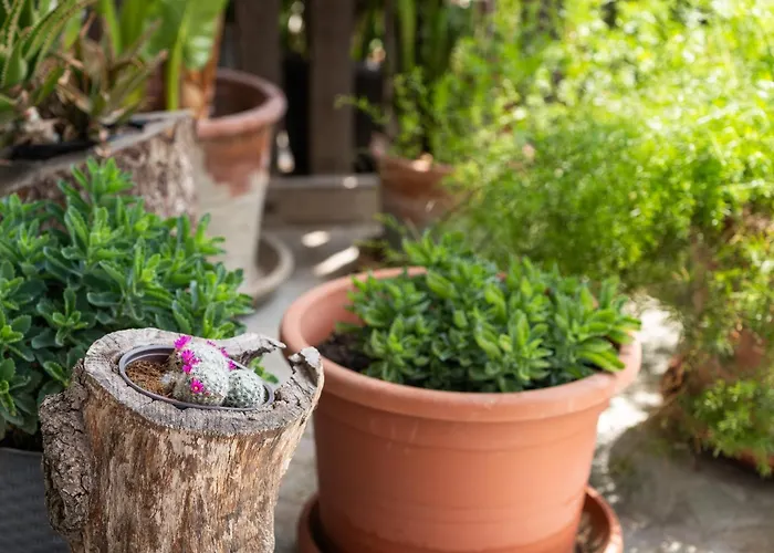 아파트 Timeless Barn *