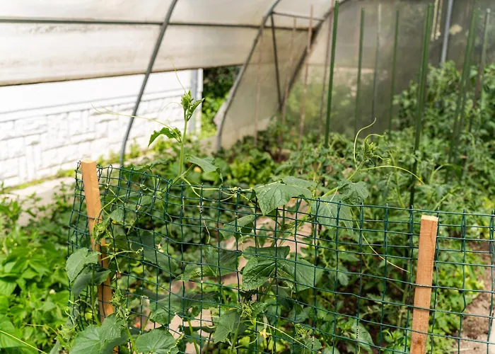 Timeless Barn 아파트 *