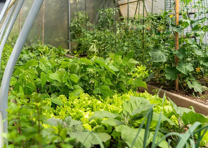 Apartmán Timeless Barn *