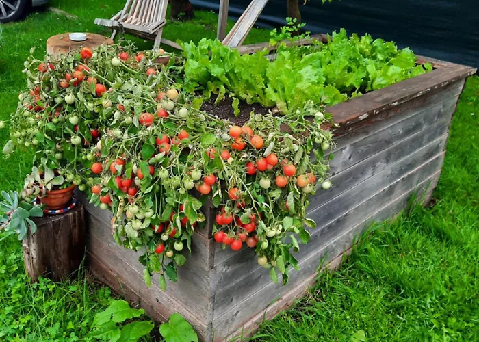 Apartmán Timeless Barn *